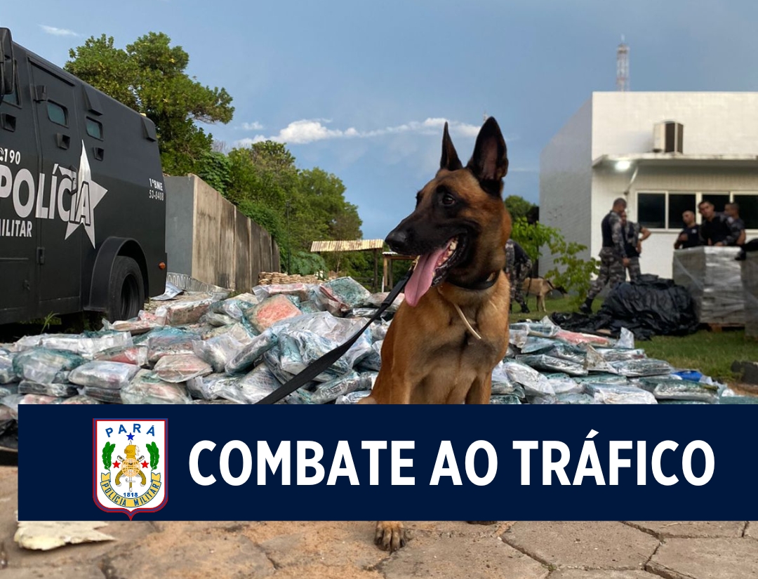 Canil Setorial da PM atua na apreensão de 1 tonelada de drogas em Marabá