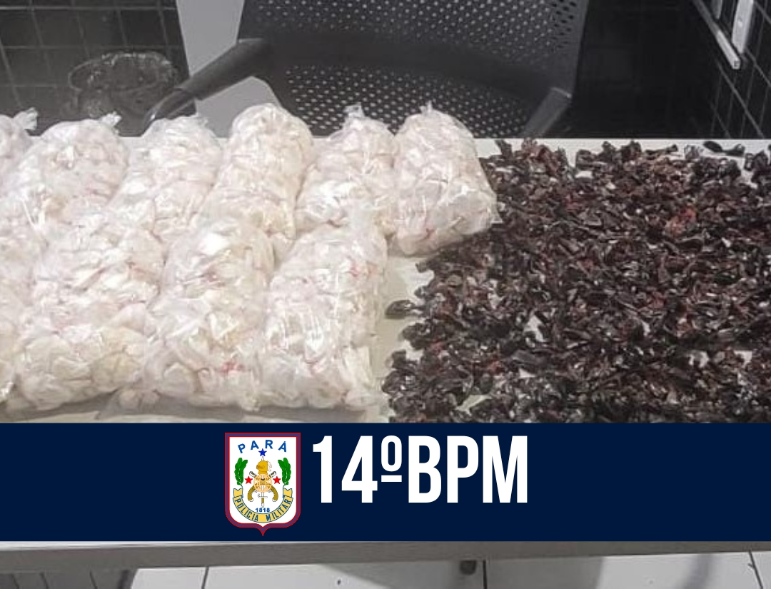 14° BPM apreende 1,6 mil papelotes de drogas em Barcarena