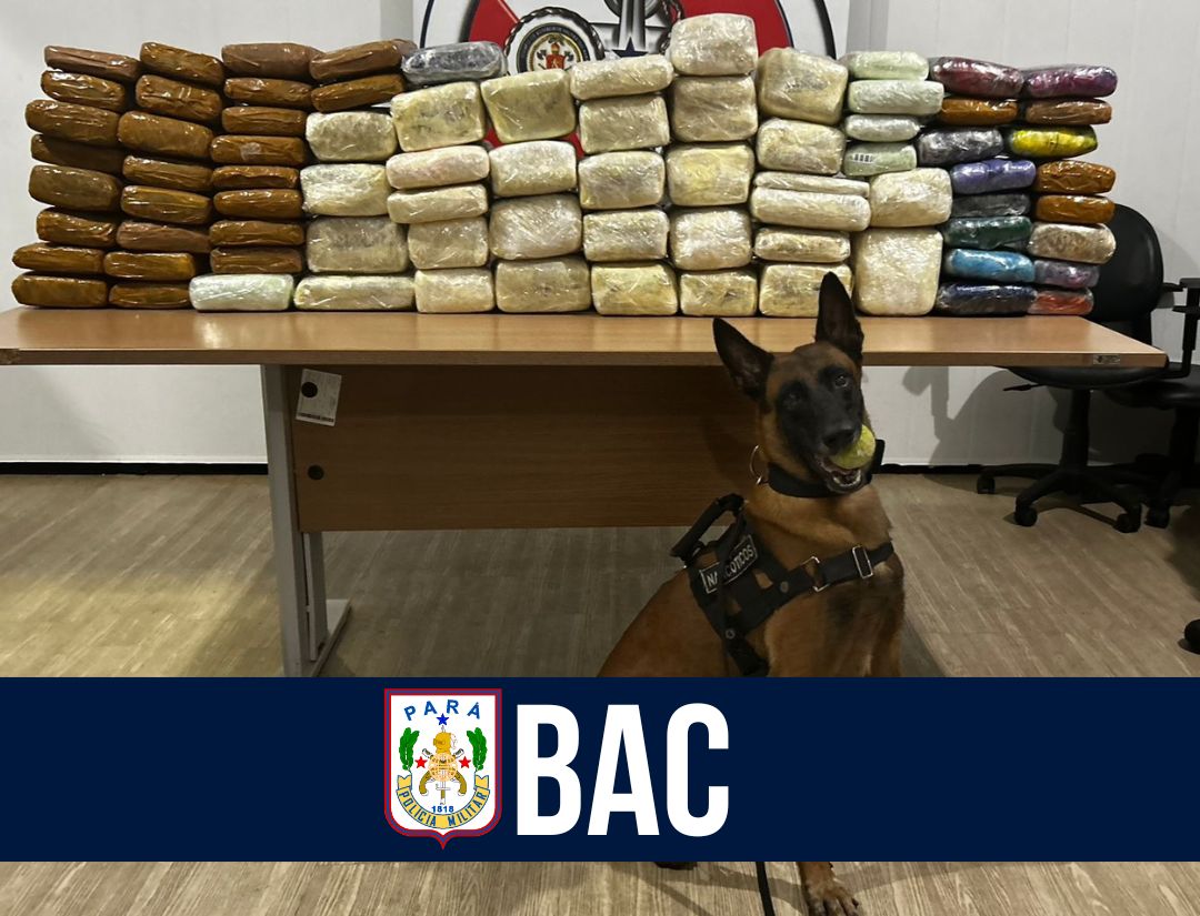 BIFAL: Em Breves, cão do BAC fareja e localiza 120kg de entorpecentes em embarcação