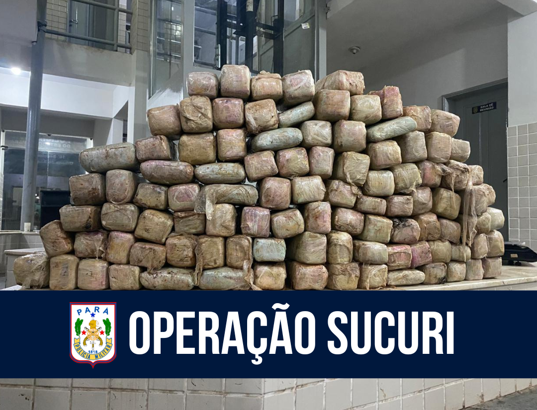 Operação Sucuri resulta na apreensão de 115 kg de drogas em Santarém