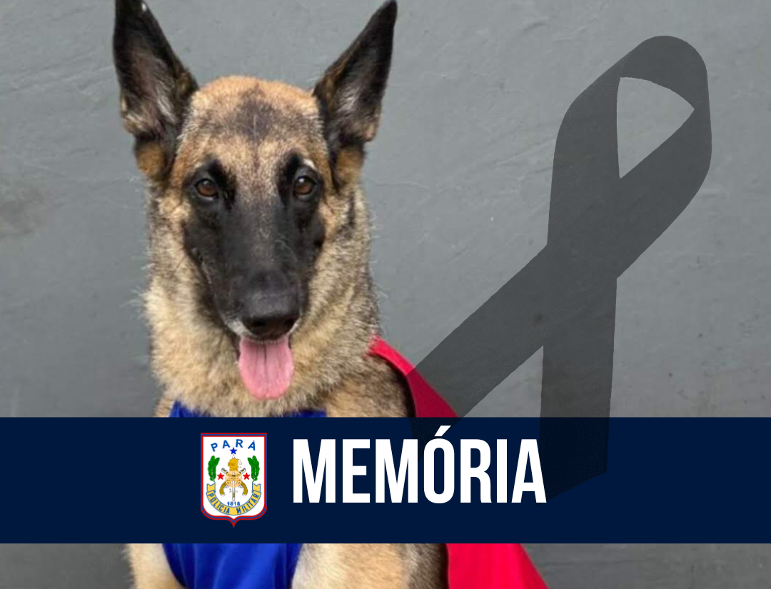 PMPA realiza homenagem fúnebre à cadela policial Lola