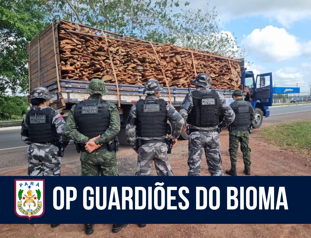 Operação Guardiões do Bioma reforça ações contra o desmatamento no Pará