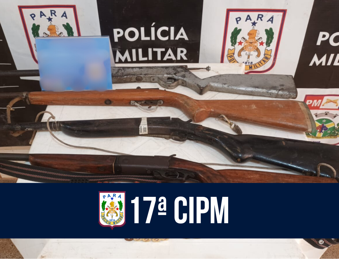 17ª CIPM apreende armas e munições no município de Placas