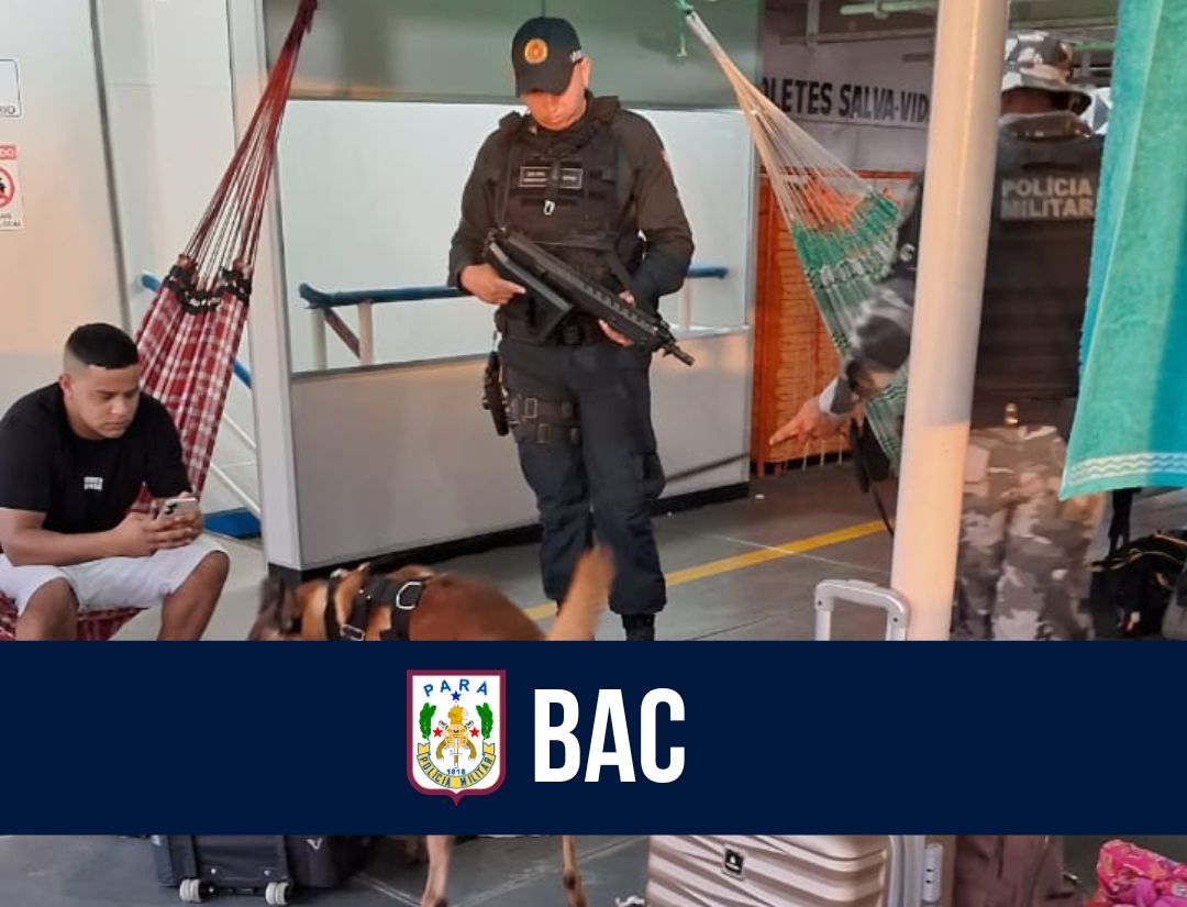 Cão Anúbis do BAC encontra drogas em navio no município de Breves