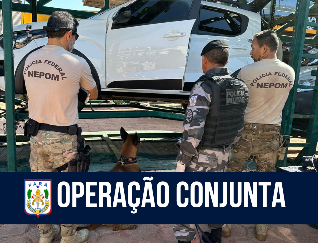 Operação Conjunta: BAC e NEPOM apreende 47 kg de drogas em Belém
