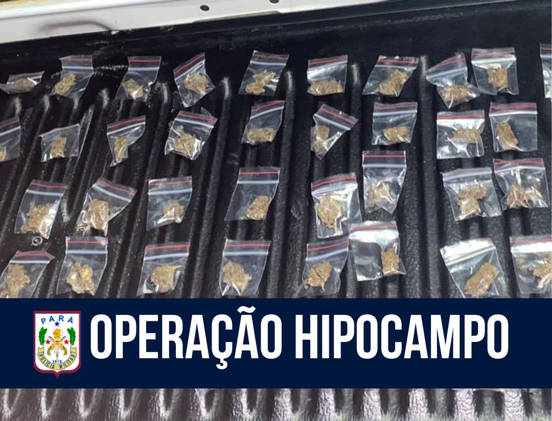 10° BPM apreende 68 embalagens de drogas em Icoaraci