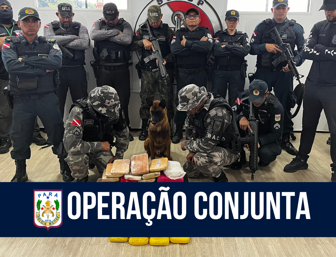Operação conjunta apreende cerca de 50kg de entorpecentes no Distrito de Antônio Lemos