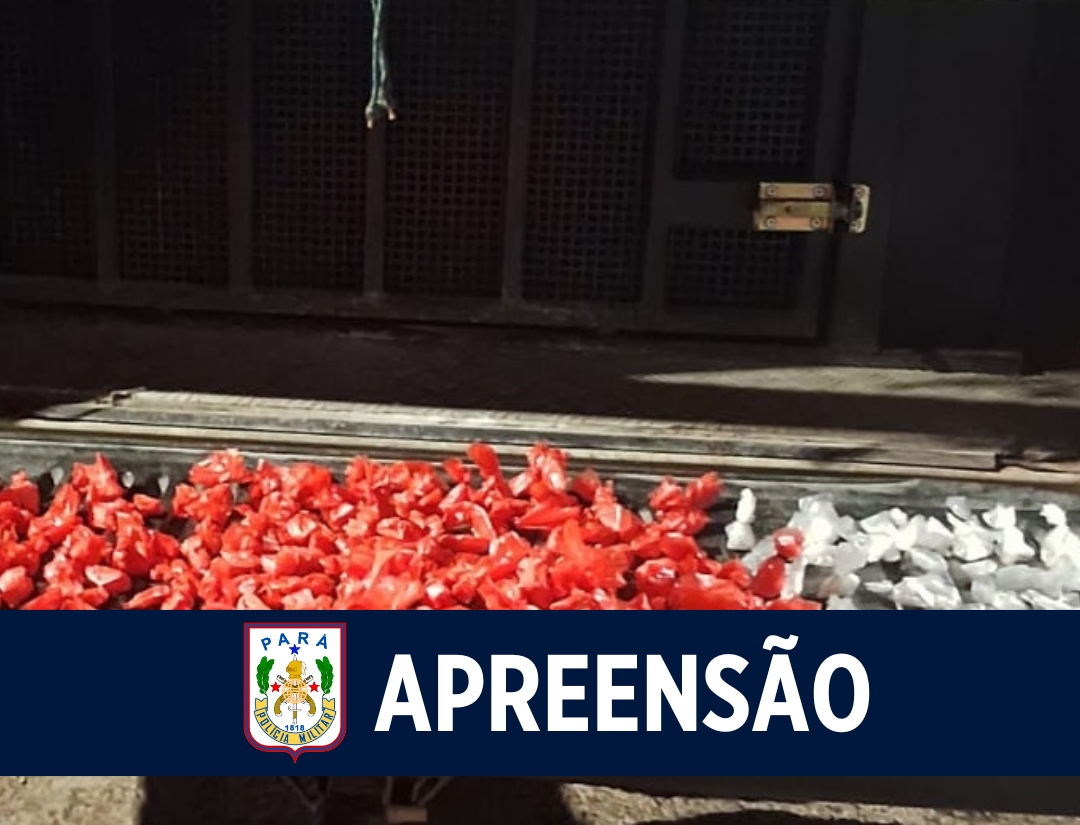 10º BPM apreende 163 papelotes de drogas em Icoaraci