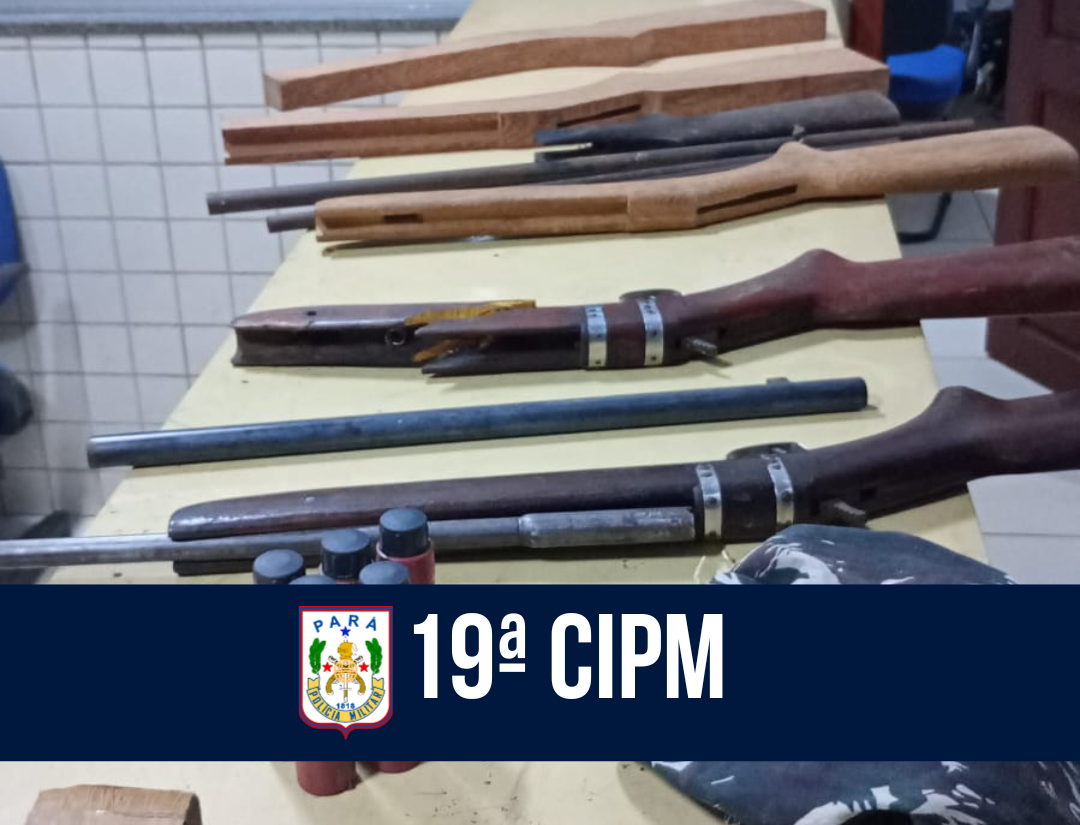 19ª CIPM apreende armas de fogo e drogas no município de Viseu