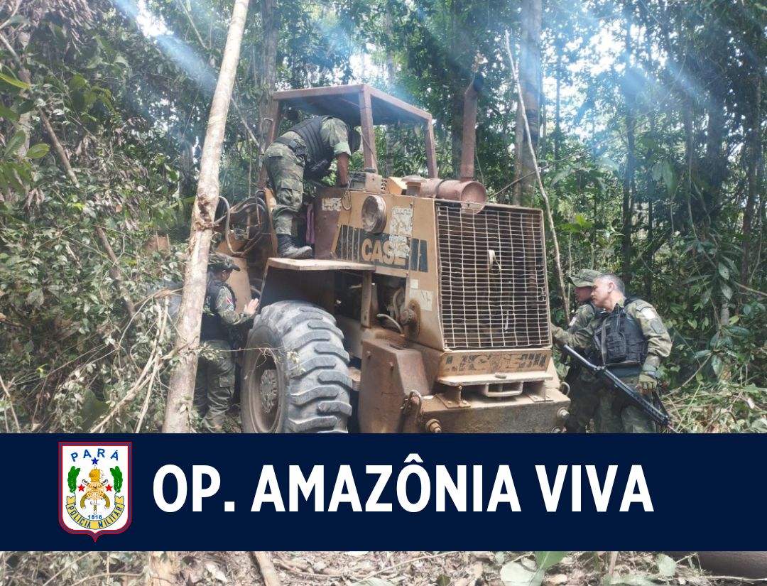 Operação Amazônia Viva: Forças de Segurança Pública desarticulam acampamento ilegal de extração vegetal