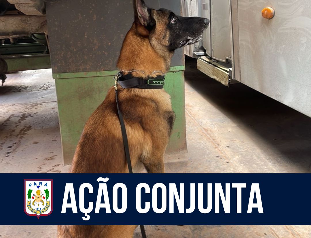 Ação Conjunta: BAC, DENARC e GFLU fiscalizam embarcação no Distrito de Icoaraci